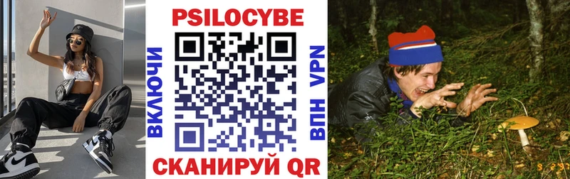 Галлюциногенные грибы Psilocybe  Кологрив 